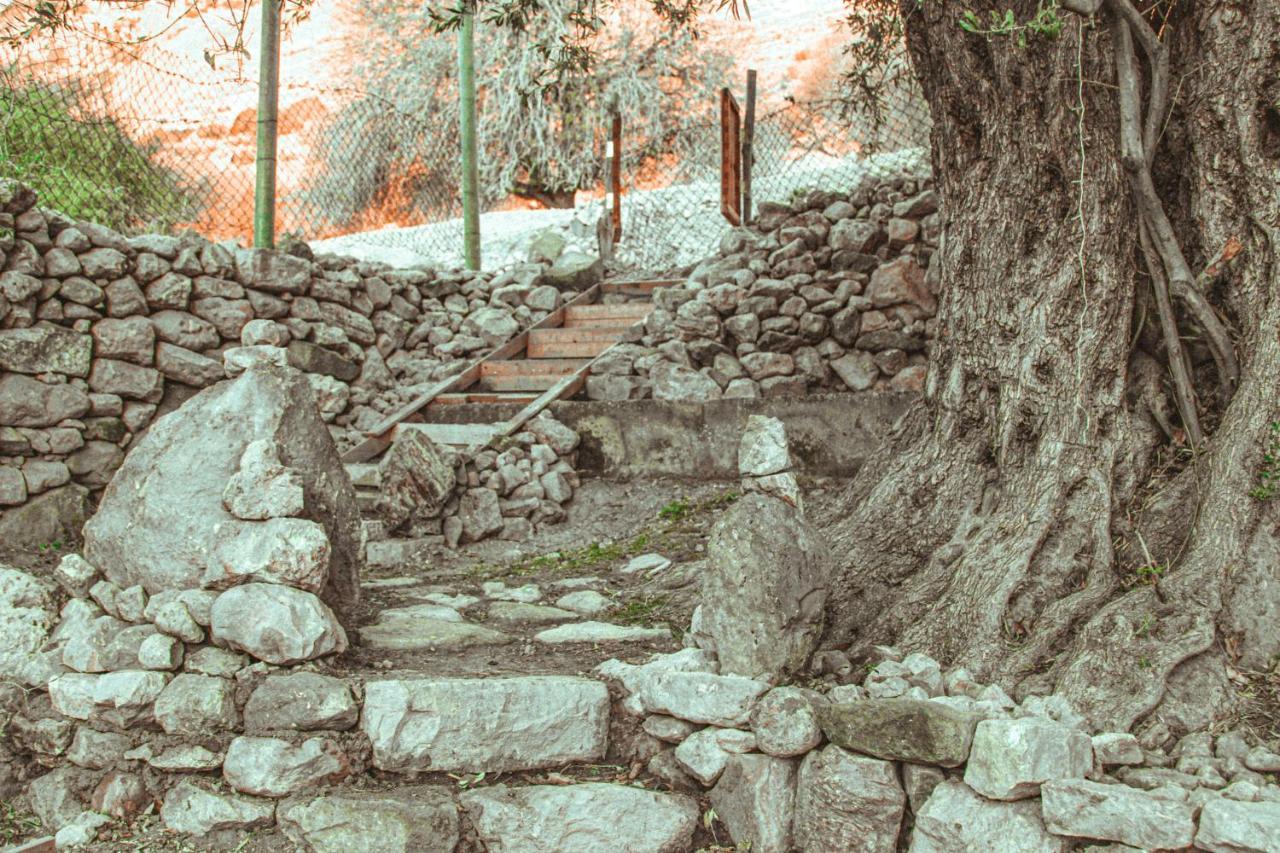 Hobbit Village Dana Exteriér fotografie