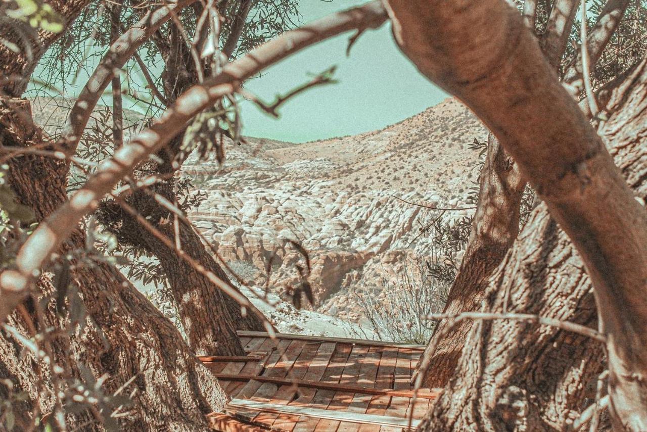 Hobbit Village Dana Exteriér fotografie