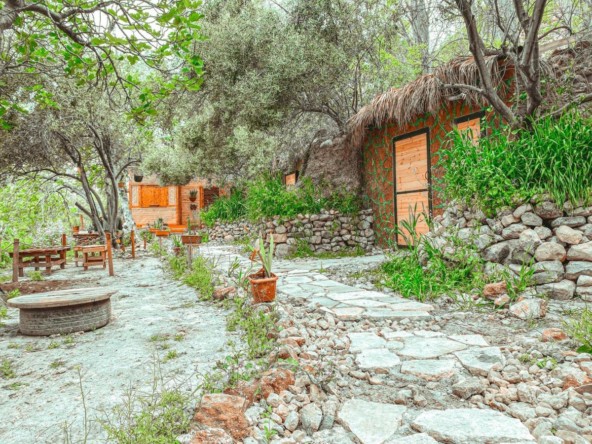 Hobbit Village Dana Exteriér fotografie